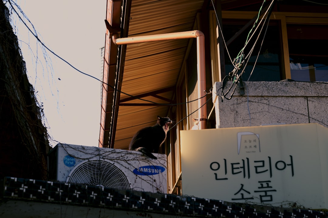 근로장려금 가구 유형별 소득 기준 및 최대 지급액 인포그래픽