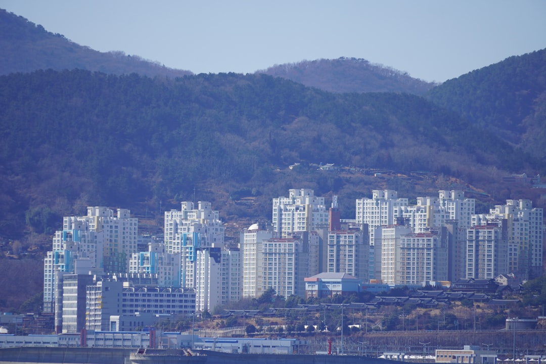 책상에 앉아 연금저축 및 IRP 서류를 검토하며 재정 계획을 세우는 직장인