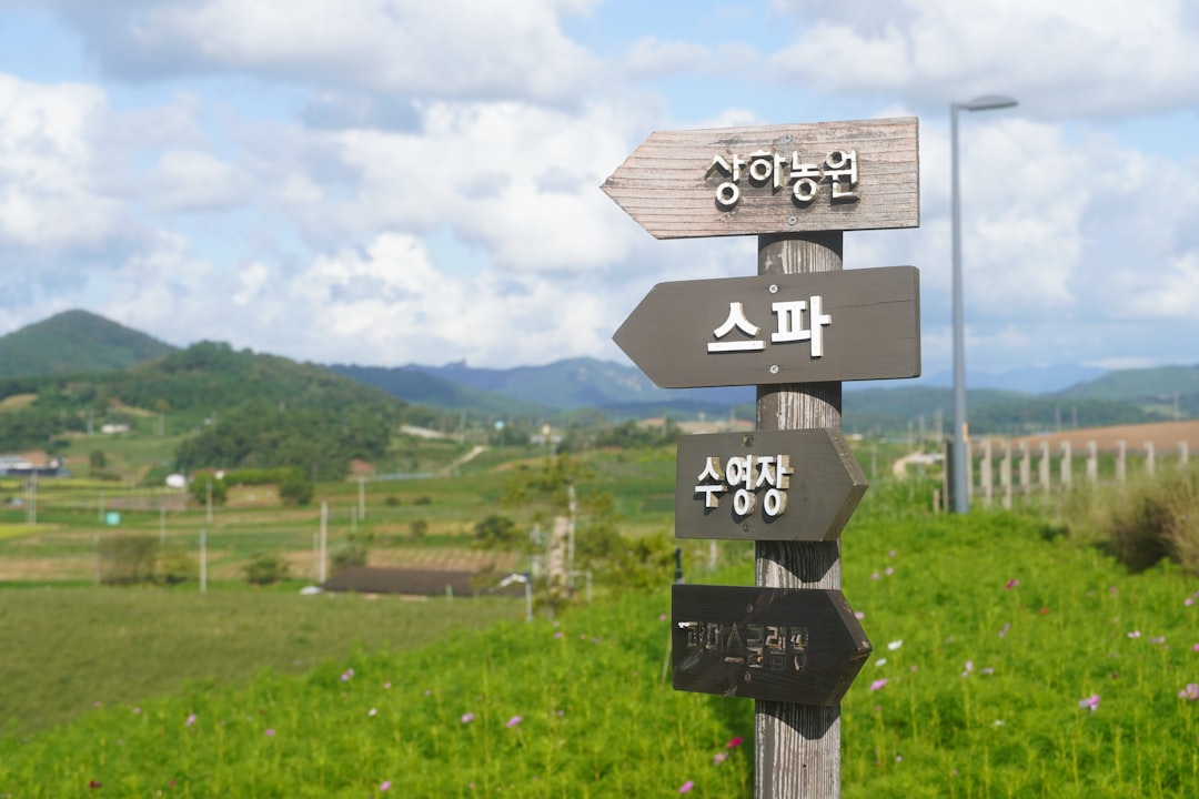 현명한 주택화재보험 가입을 위한 체크리스트 아이콘 이미지