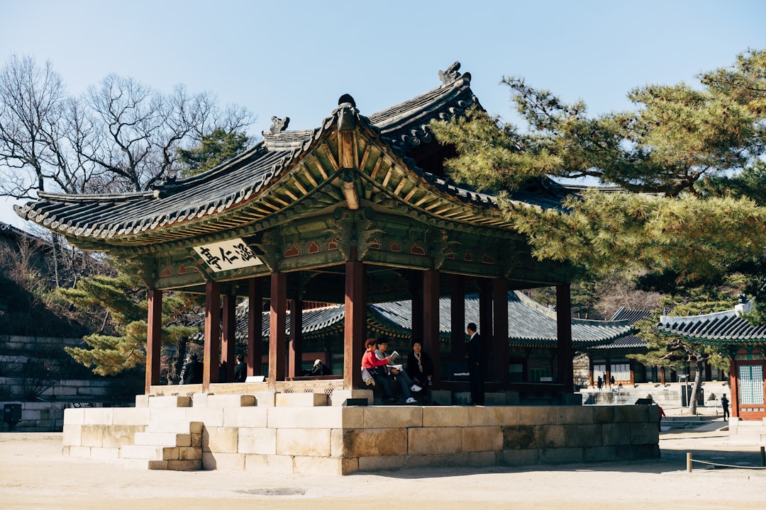 치과 치료 종류별 예상 비용과 보험 보장을 비교한 도표