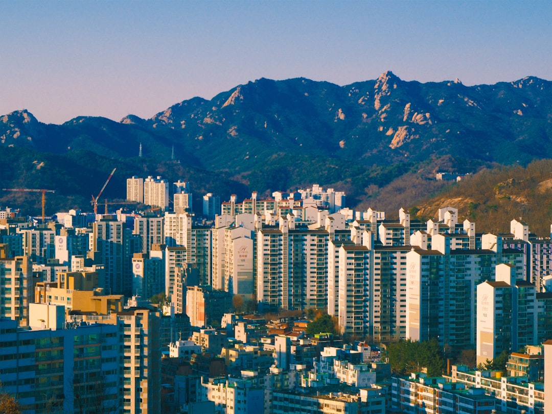 다양한 자산이 하나의 펀드로 통합되는 모습을 보여주는 분산 투자 일러스트