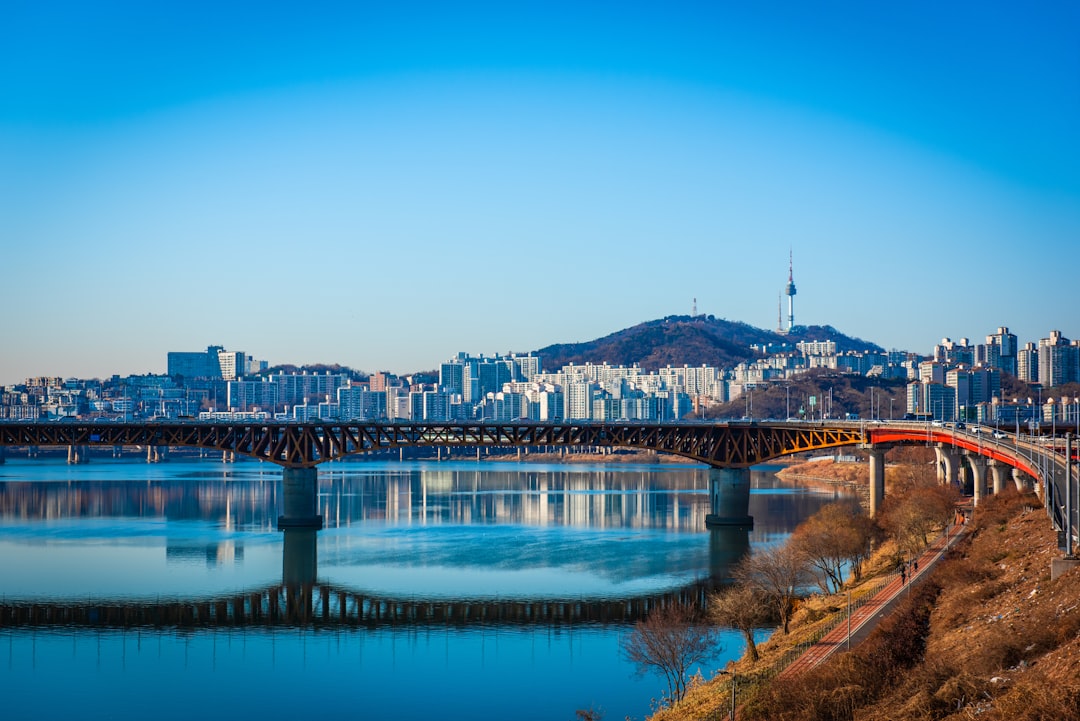 공모주 청약 방법과 일정