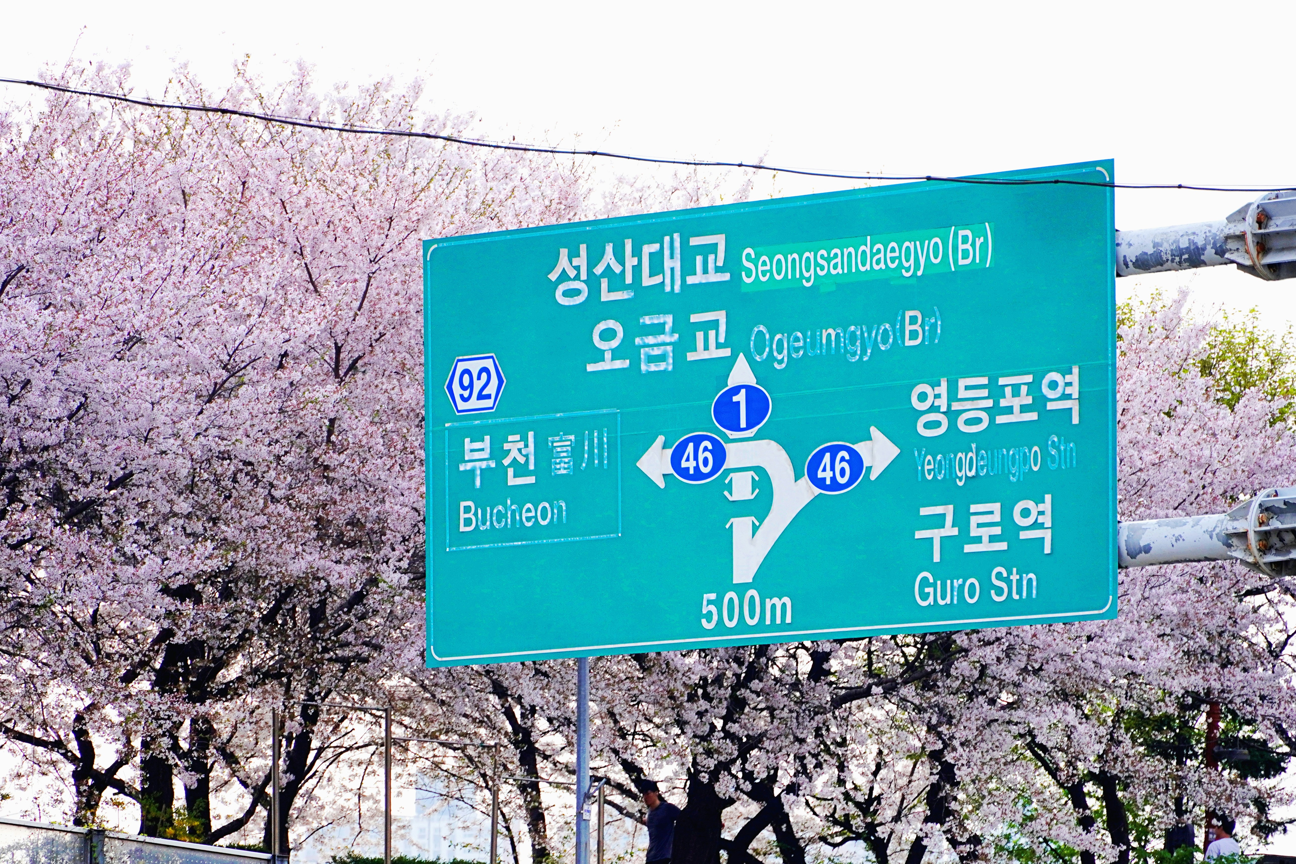 실업급여 신청 자격, 금액, 지급 기간
